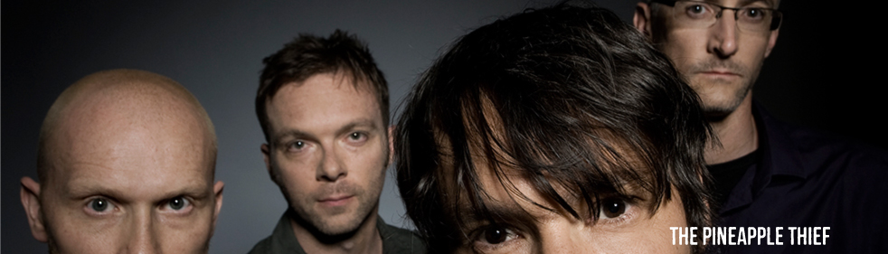 the pineapple thief