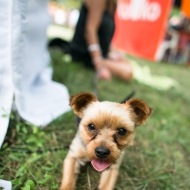 20120804-124928-2