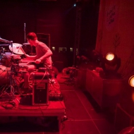 three-trapped-tigers-11