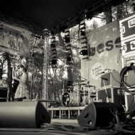 zapaska-bw31